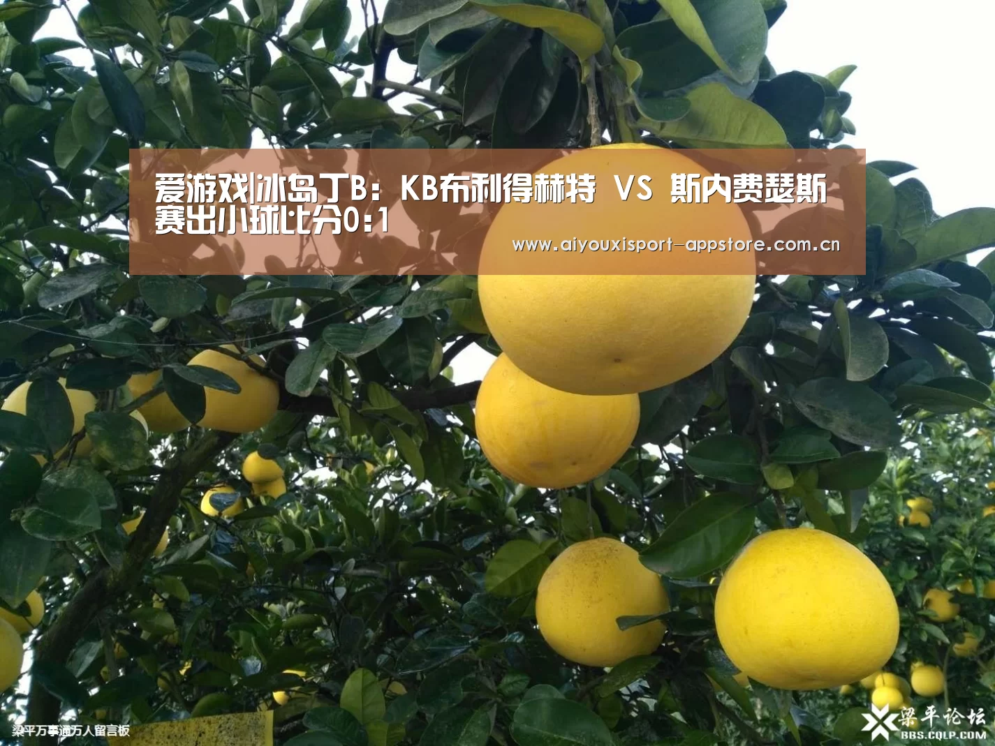 爱游戏|冰岛丁B: KB布利得赫特 VS 斯内费瑟斯赛出小球比分0:1(图1) 爱游戏|冰岛丁B: KB布利得赫特 VS 斯内费瑟斯赛出小球比分0:1(图1)